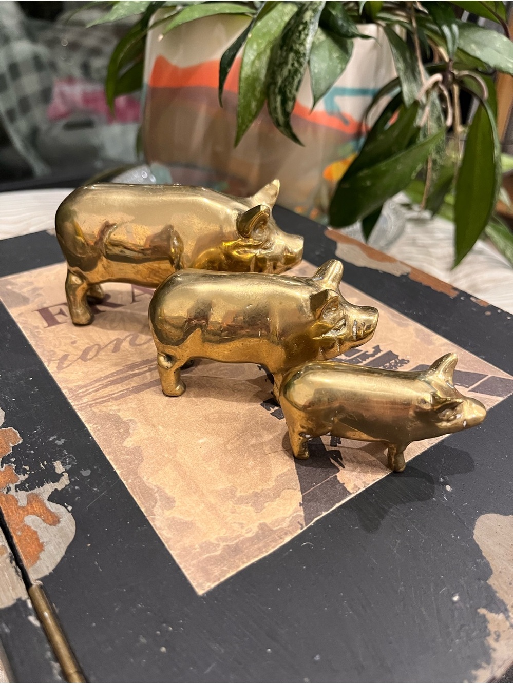 Brass Pig Trio Decorative Figurines - solid brass set